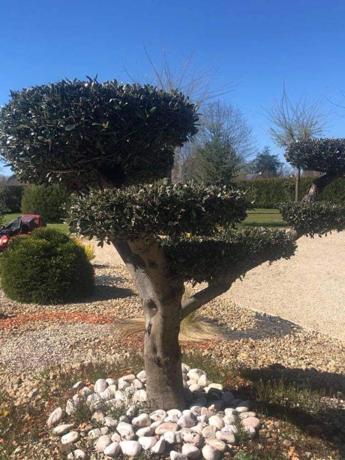 La Cottiniere Bed and Breakfast Dreffeac Buitenkant foto
